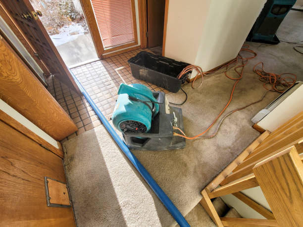 Best Local water damage restoration  in Desert Hills, AZ