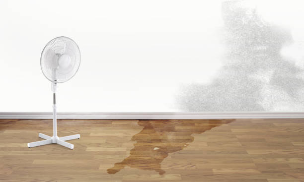 Professional Water damage restoration in AZ