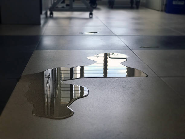 Best Water damage restoration near me  in Desert Hills, AZ