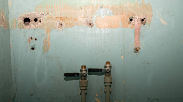 Best Water damage restoration process  in Desert Hills, AZ