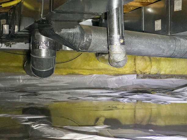 Best Flooded house restoration  in Desert Hills, AZ