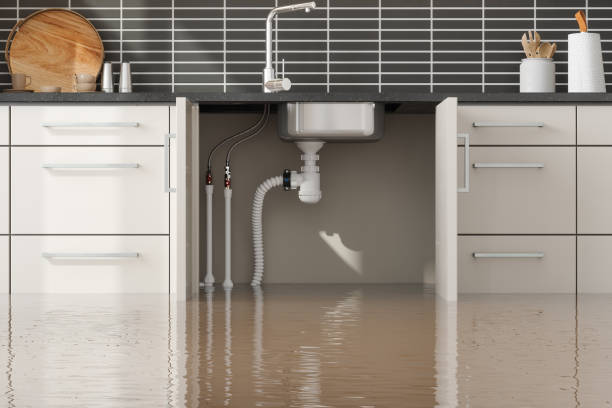 Best Water damage contractors near me  in Desert Hills, AZ