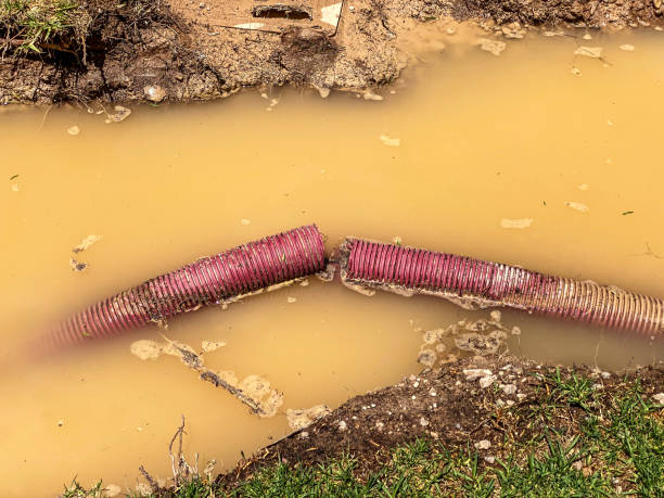 Best Water damage cleanup near me  in Desert Hills, AZ