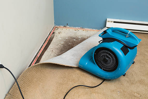 Water damage restoration process in AZ